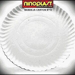 BANDEJA CARTON N:13 x10 (bultox600)