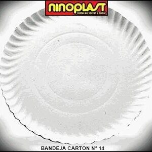 BANDEJA CARTON N:14 x100 (bultox600)