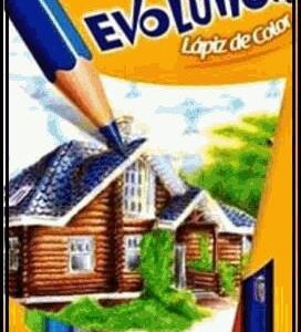 LAPIZ COLOR BIC EVOLUTION X12